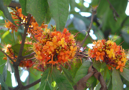 Slideshow Image 4